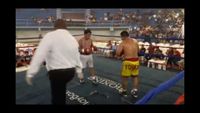File:Jose Antonio Panduro Manu vs. Marcelo Antonio Gomez 141.jpg
