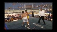 File:Jose Antonio Panduro Manu vs. Marcelo Antonio Gomez 145.jpg