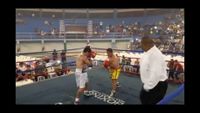 File:Jose Antonio Panduro Manu vs. Marcelo Antonio Gomez 148.jpg