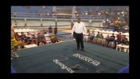 File:Jose Antonio Panduro Manu vs. Marcelo Antonio Gomez 153.jpg