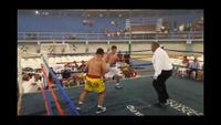 File:Jose Antonio Panduro Manu vs. Marcelo Antonio Gomez 159.jpg
