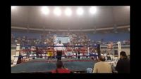 File:Jose Antonio Panduro Manu vs. Marcelo Antonio Gomez 163.jpg