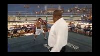 File:Jose Antonio Panduro Manu vs. Marcelo Antonio Gomez 165.jpg