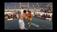 File:Jose Antonio Panduro Manu vs. Marcelo Antonio Gomez 169.jpg