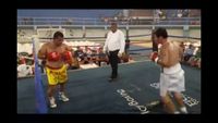 File:Jose Antonio Panduro Manu vs. Marcelo Antonio Gomez 176.jpg