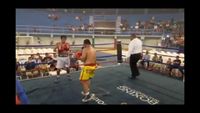 File:Jose Antonio Panduro Manu vs. Marcelo Antonio Gomez 188.jpg