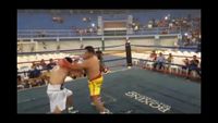 File:Jose Antonio Panduro Manu vs. Marcelo Antonio Gomez 193.jpg
