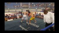 File:Jose Antonio Panduro Manu vs. Marcelo Antonio Gomez 205.jpg