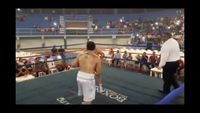 File:Jose Antonio Panduro Manu vs. Marcelo Antonio Gomez 208.jpg