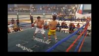 File:Jose Antonio Panduro Manu vs. Marcelo Antonio Gomez 215.jpg