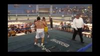 File:Jose Antonio Panduro Manu vs. Marcelo Antonio Gomez 217.jpg