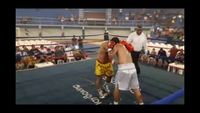 File:Jose Antonio Panduro Manu vs. Marcelo Antonio Gomez 218.jpg