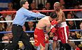 Jose Luis Castillo vs. Joel Casamayor.02.jpg