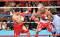 Jose Luis Castillo vs. Joel Casamayor.05.jpg