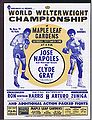 Jose Napoles vs Clyde Gray.jpg