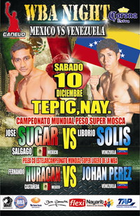 File:Jose Salgado vs. Liborio Solis (poster).PNG