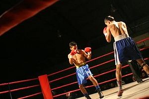 Jose Sanchez vs. Admilson Gomes de Souza.jpg
