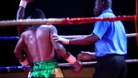 File:Joseph Agbeko vs. Frank Kiwalabye 057.jpg