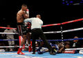 Joshua-Johnson 475299516.jpg