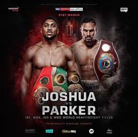 File:JoshuavsParker.jpg