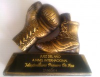 File:Juez2013.jpg