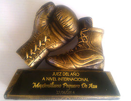 Juez2013.jpg