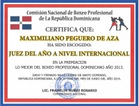 File:Juezganadorinternacional2013.jpg