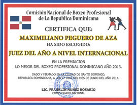 Juezganadorinternacional2013.jpg