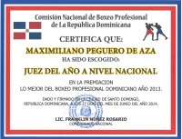 File:Juezganadornacional2013.jpg