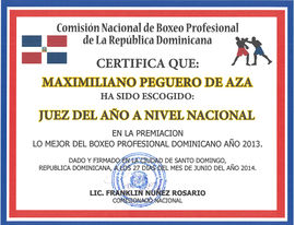 Juezganadornacional2013.jpg