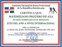 File:Jueznominadointernacional2014.jpg