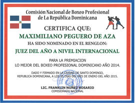 Jueznominadointernacional2014.jpg