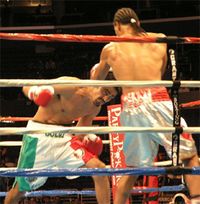 File:Julio Cesar Gonzalez vs. David Telesco.02.jpg