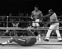 File:Jungle Rumble.JPG
