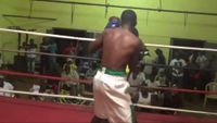 File:Kabiru Towolawi vs. Mike Kwakuvi 013.jpg