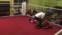 File:Kabiru Towolawi vs. Mike Kwakuvi 056.jpg
