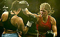 Thumbnail for version as of 03:41, 17 January 2012
