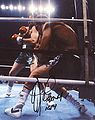 Ken Norton vs. Gerry Cooney . Fasan.jpg