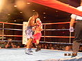 Thumbnail for version as of 22:53, 26 September 2010