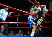 File:Kevin cestone boxer.jpg