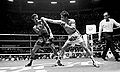 Khaosai galaxy-Eusebio-Espinal-Stanley-Christodoulou.jpg