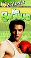 Kid Galahad.film.jpg