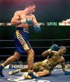 Klitschko-Barrett 51504216.jpg