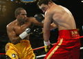Klitschko-Brewster I 52574960.jpg