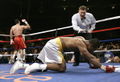 Klitschko-Brock 72510946.jpg