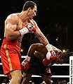 Klitschko-Byrd II.jpg