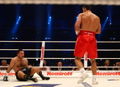 Klitschko-Chagaev 88598516.jpg