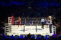 Klitschko-Haye 117981361.jpg