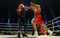 Klitschko-Mormeck 140631276.jpg