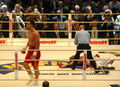 Klitschko-Thompson I 81916963.jpg